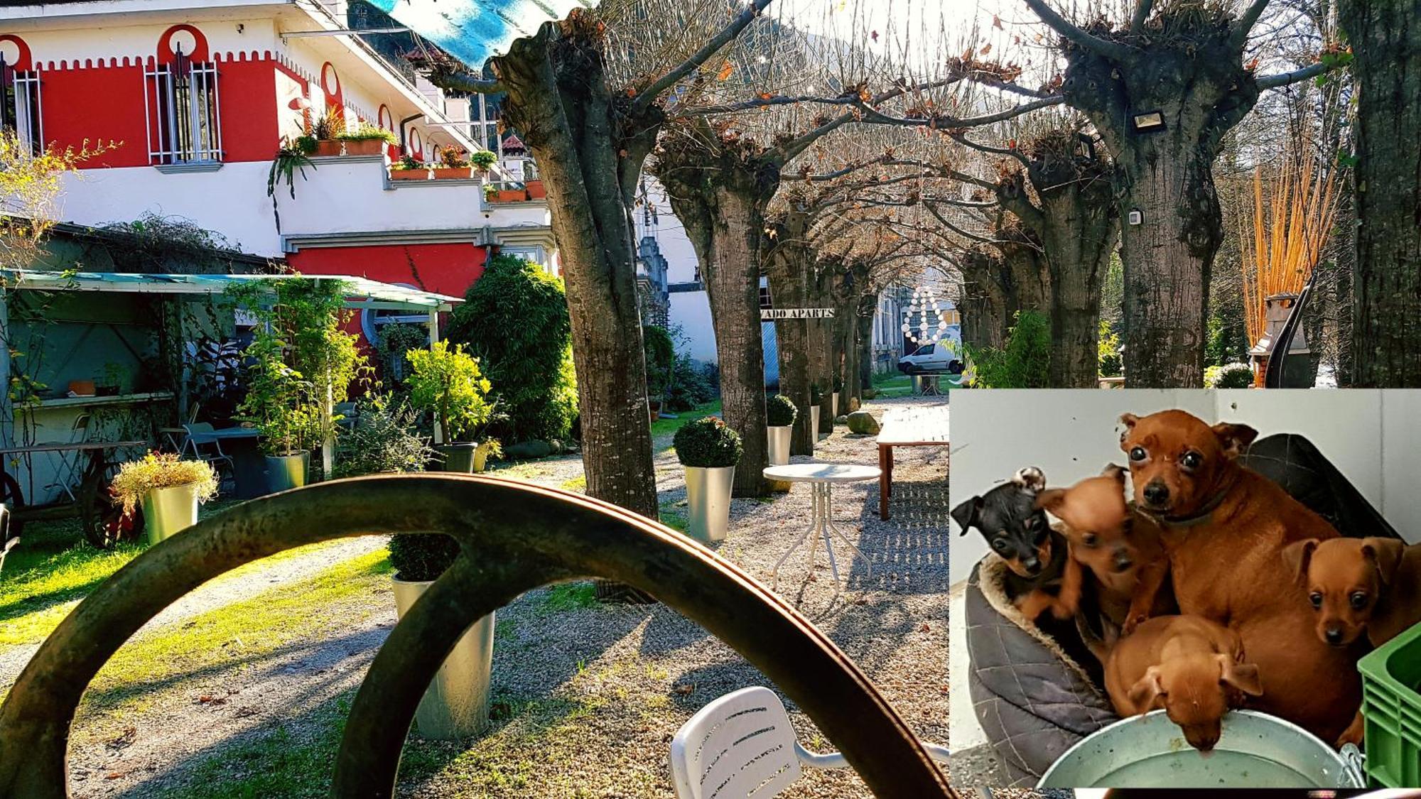 Zentral Club Apartamento Proton-Jacuzzi Belmonte De Miranda Dış mekan fotoğraf